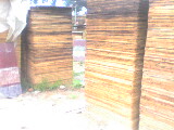 Duа5 cɷŴ