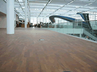 c鿴ľذ受ճϵyŴDƬ