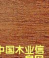 ̩ԔB