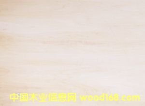 c鿴ȫtŴDƬ