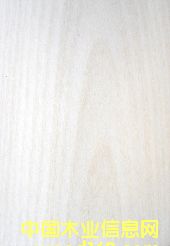 (피)טľƤ china yunan birch(c