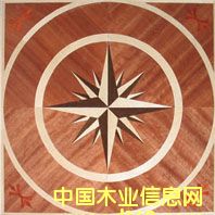 c鿴NSF-F6-Hua006ŴDƬ