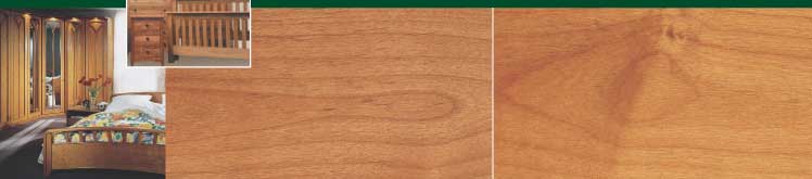 ()ľAlderҾߣ