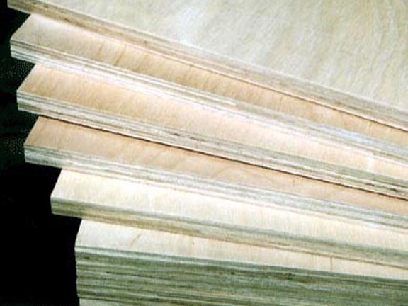 c鿴birch plywoodŴDƬ