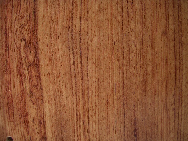 c鿴޻挍ľͺϵذŴDƬ