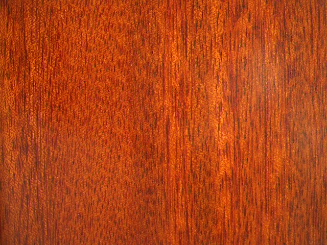 c鿴GɣľͺϵذŴDƬ