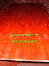 ʥƽģ,ľģ,A,zϰԔB