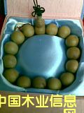 ̴朵ԔB