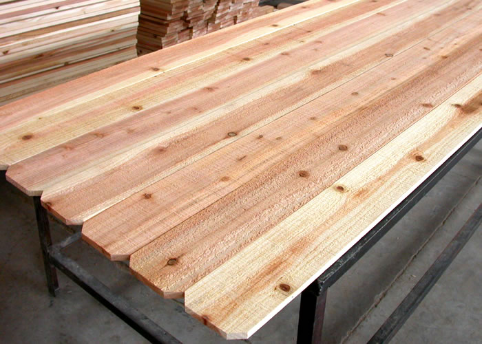 Red Cedar fenceԔB