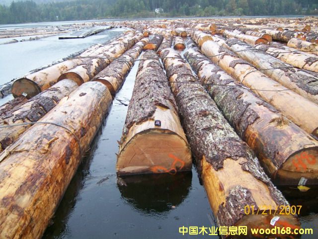 c鿴ôֱ40FɼԭľŴDƬ