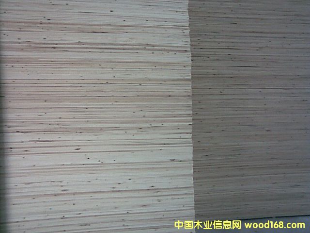 c鿴ɼľƴ.ɼľŴDƬ