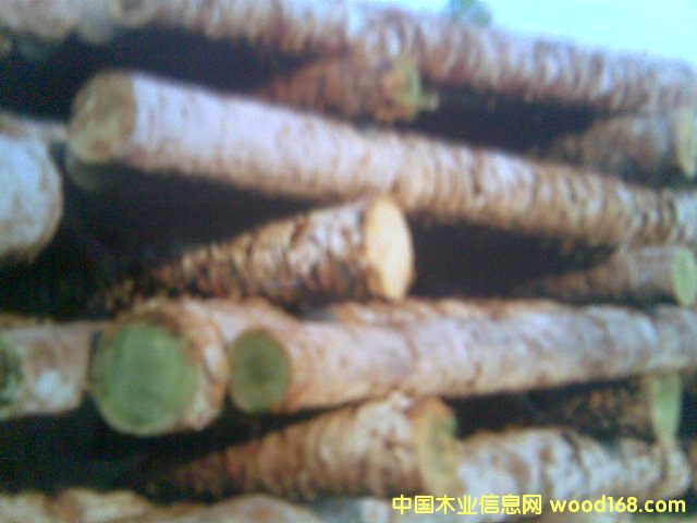 c鿴ľ-ԭ-δӹ-ؘŴDƬ