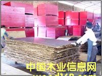 c鿴ģľģŴDƬ