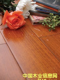 c鿴ɭ֮þľذ-ƷֱyŴDƬ