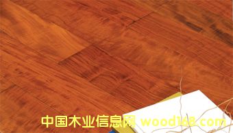 c鿴ɭ֮þľذ-OƷӰŴDƬ