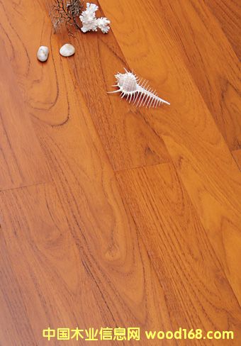 c鿴ɭ֮þľذ-ƷɽyŴDƬ