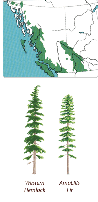 c鿴̫ƽ󺣰FɼŴDƬ