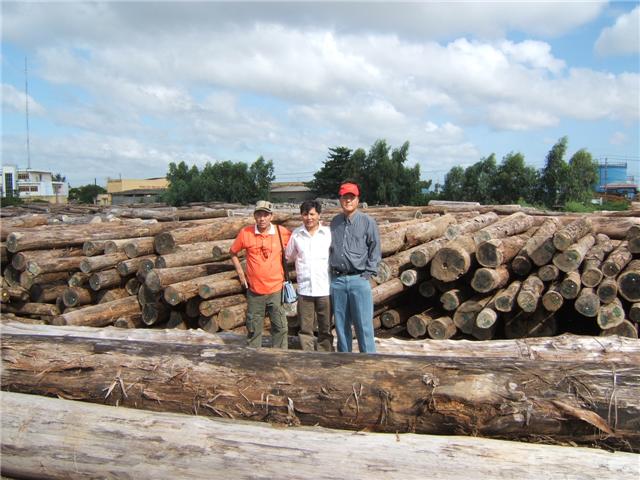 c鿴¡ľ(kuriang),ŴDƬ