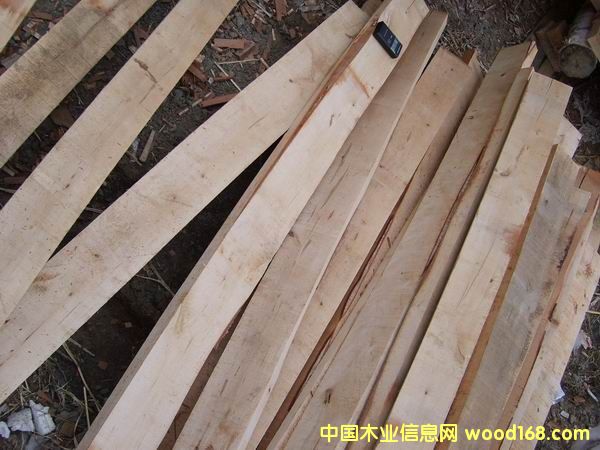 [] _˹ľٹɲƴ