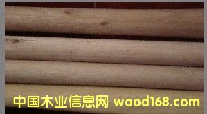 c鿴ľ@怰1ŴDƬ