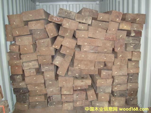 SQUINA(֬ľt̴㣩