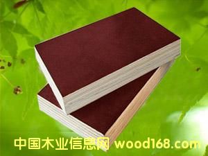 c鿴film faced plywoodŴDƬ
