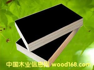 c鿴film faced plywoodŴDƬ