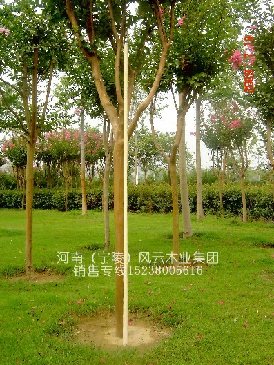 lƷϞUg(L1.6~2,ֱ2.8)5ԔB