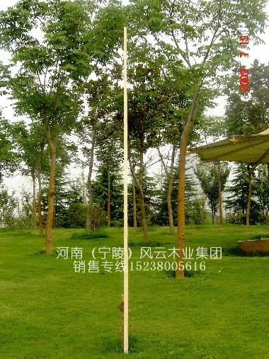 4.8̫OU/̫OʮU/yϞU ԔB