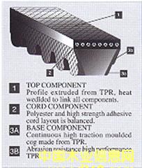 MǎVECTORPOWERǎXǎ