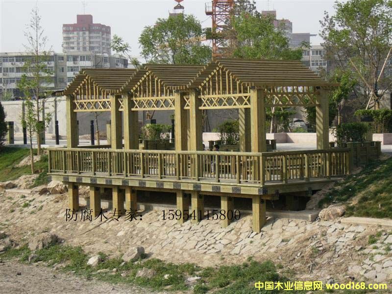 xُɽ|ϷľE[ذҾЩϺ