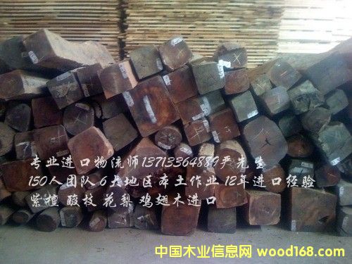 Mږ|ρľ/ӡľ/ԽľMڈP