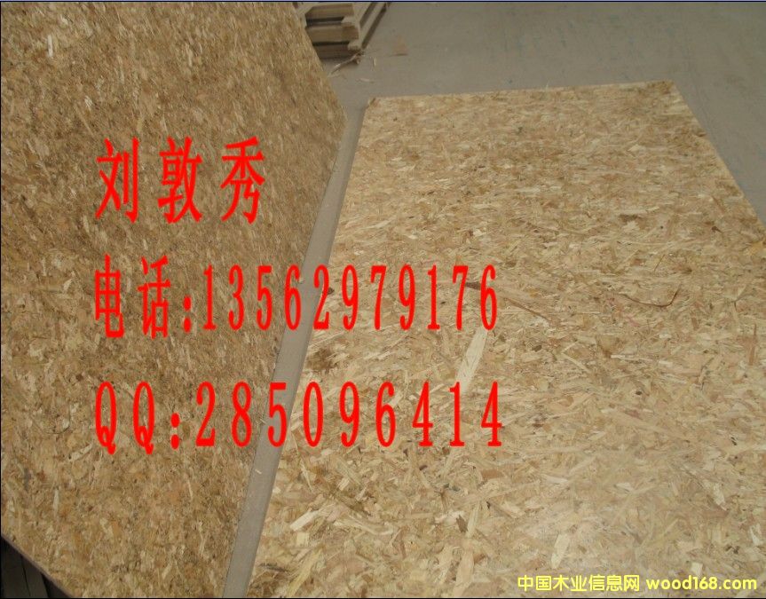 OSBٻa RؔľI13562979176