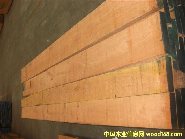 ľ5.08cm1ҎԔB