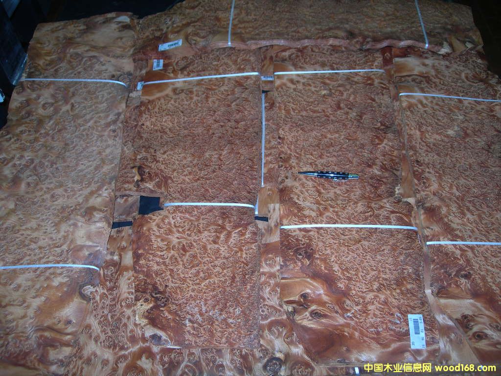 THUYA BURL