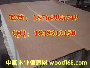 SɽľIOSBٻֵه