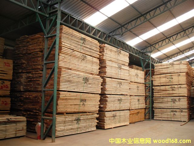 taeda pine 4ԔB