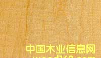 c鿴ӲŴDƬ
