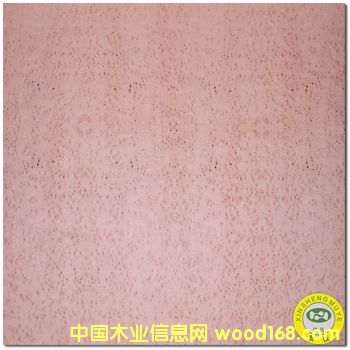 [] VʢȻľȸԭľľƤ-N