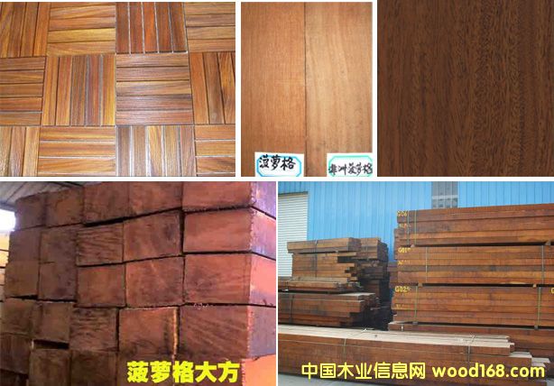 菠蘿格的詳細介紹