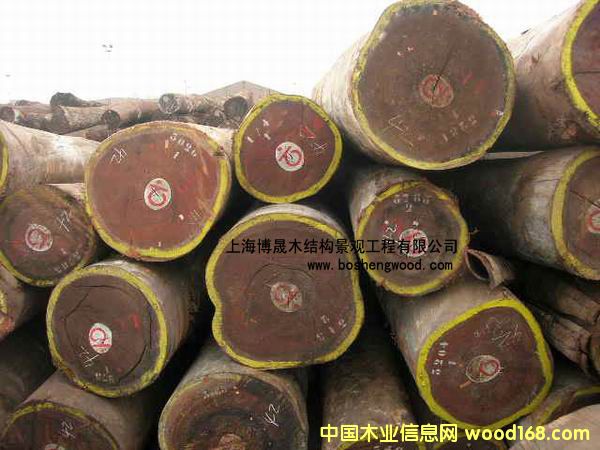 古柚木的詳細介紹