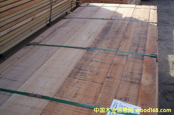 100%FSCJC Grandis (ľ)