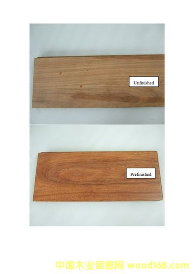 100%FSCJC Msassa(޻ʹľ)