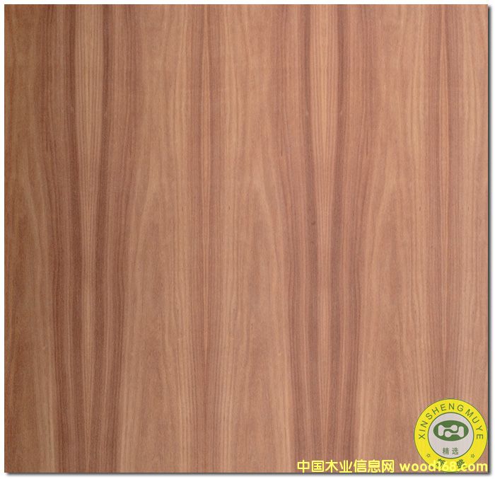 VʢȻt֦/ľɽyԭľľƤ-N