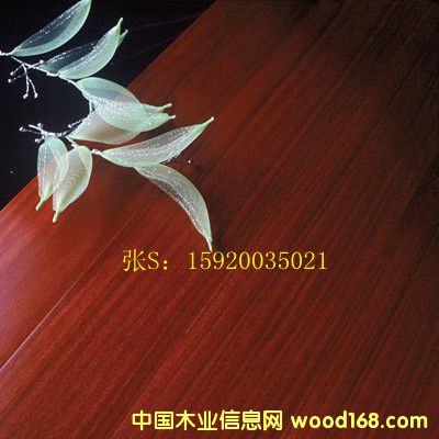 [] t̴㣨֬ľӌľͺϵذ