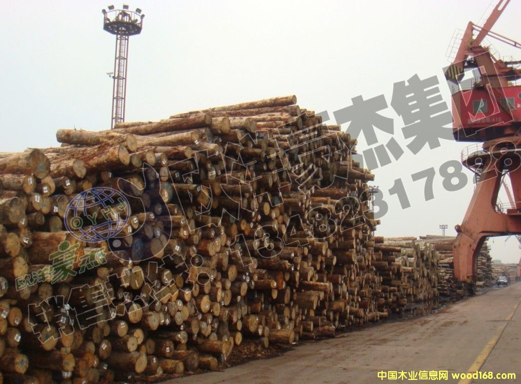 [] ~ԭľ ڏ10-50 F؛ ݗɰ