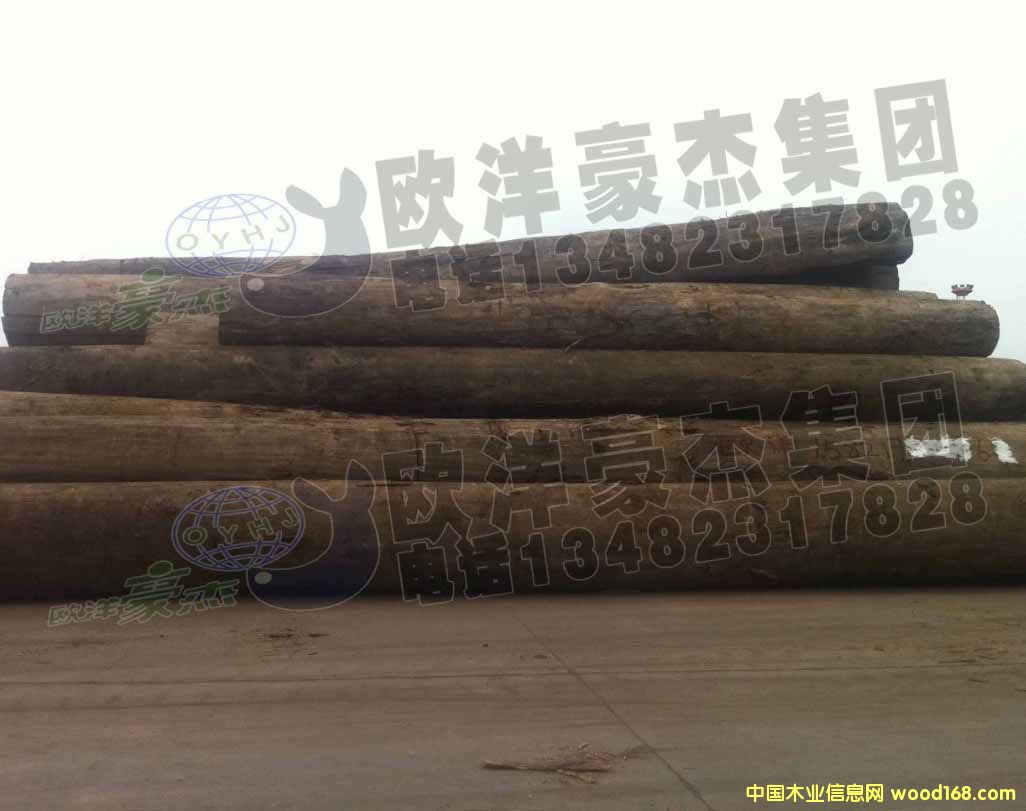 [] ~ԭľ ڏ10-50 F؛ ݗɰ