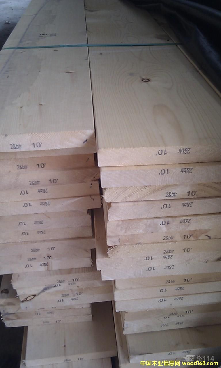 白松的詳細介紹