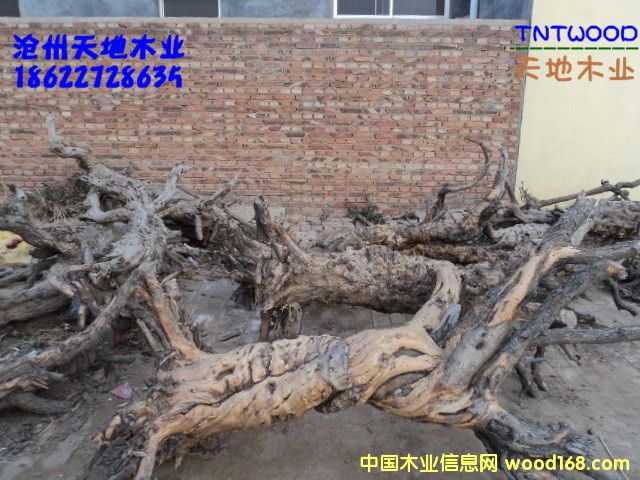 ̗ľPͲܗľȹŗ䗗ľ