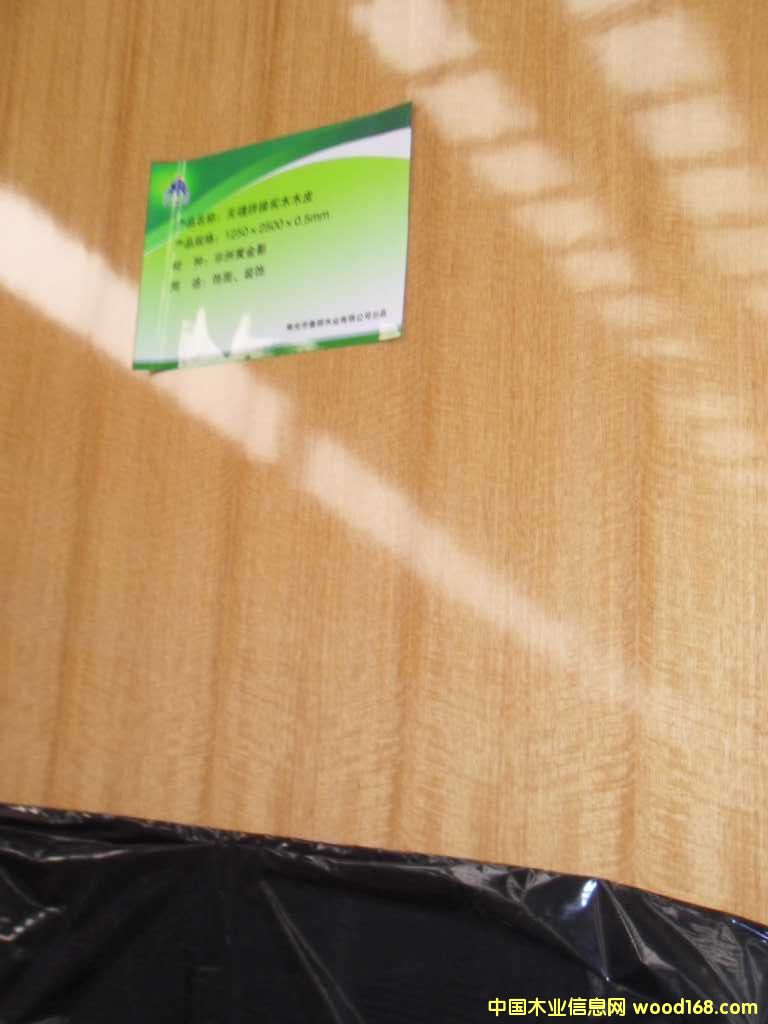 19hUVľԔB